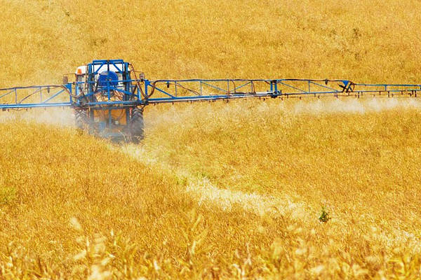 Landmaschine sprüht Pestizide auf goldenes Getreidefeld