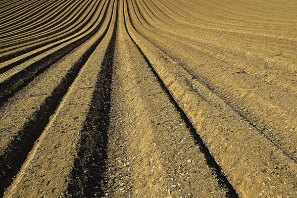 Gepflügtes Feld mit parallelen Ackerfurchen
