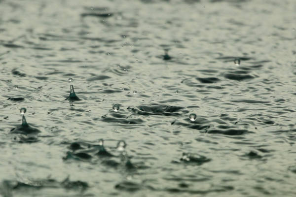 Regentropfen erzeugen Wellen auf Wasseroberfläche