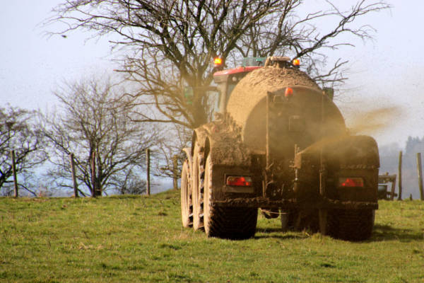 Traktor mit Güllefass auf Feld
