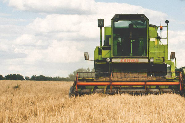 Grüner Mähdrescher auf goldenem Weizenfeld